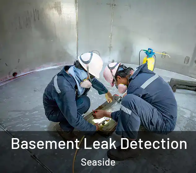  Basement Leak Detection Seaside