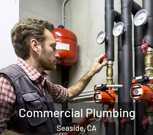  Commercial Plumbing Seaside, CA