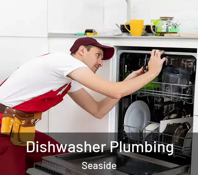  Dishwasher Plumbing Seaside