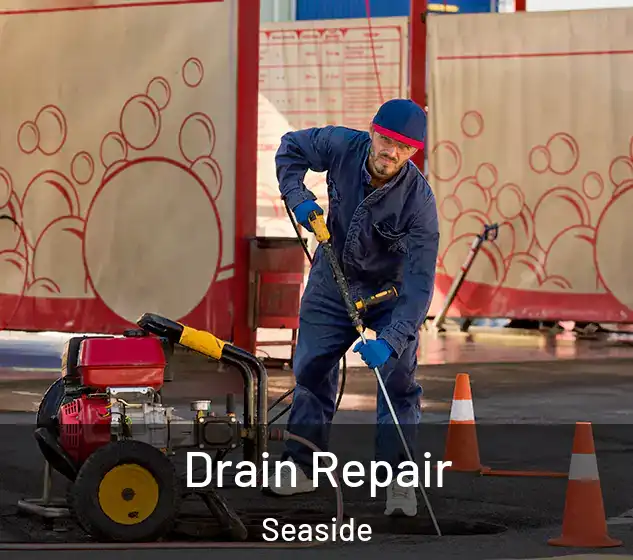  Drain Repair Seaside