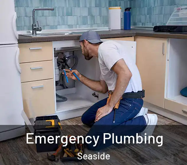  Emergency Plumbing Seaside