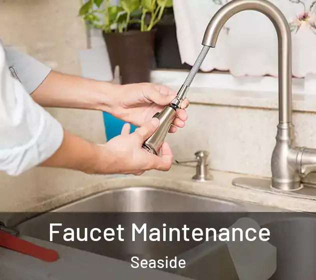  Faucet Maintenance Seaside