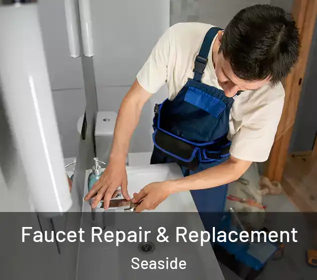  Faucet Repair & Replacement Seaside