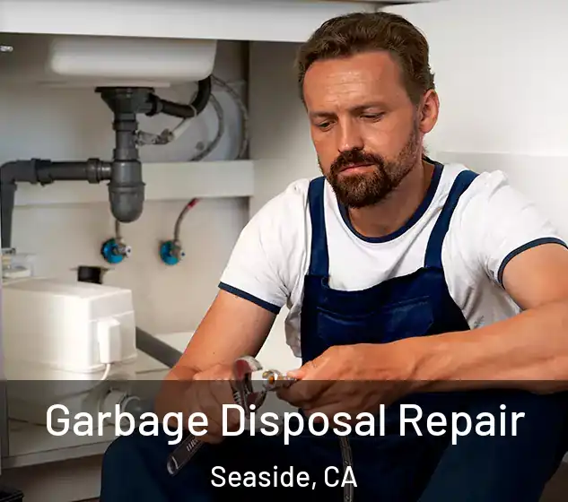  Garbage Disposal Repair Seaside, CA