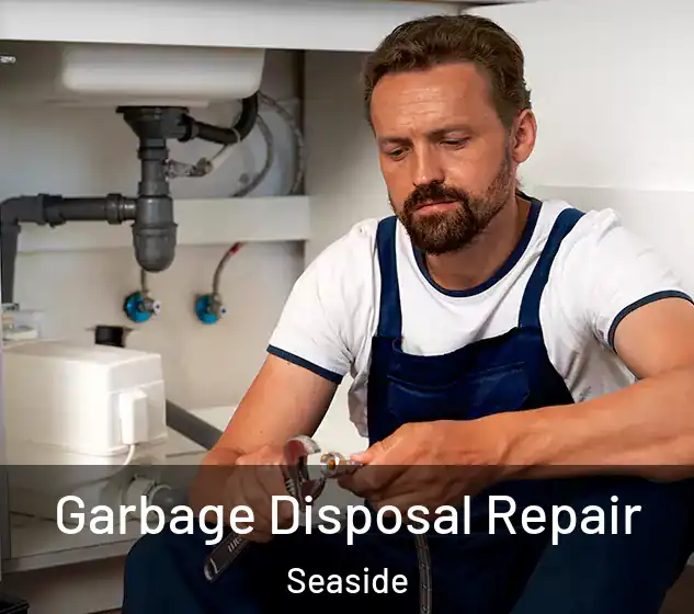  Garbage Disposal Repair Seaside