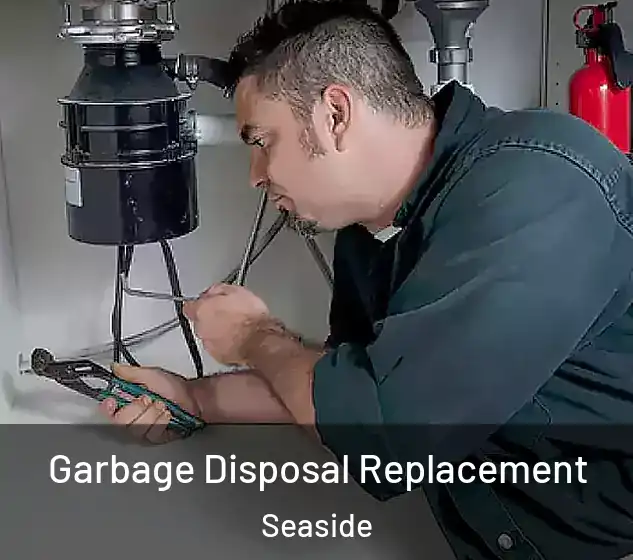  Garbage Disposal Replacement Seaside