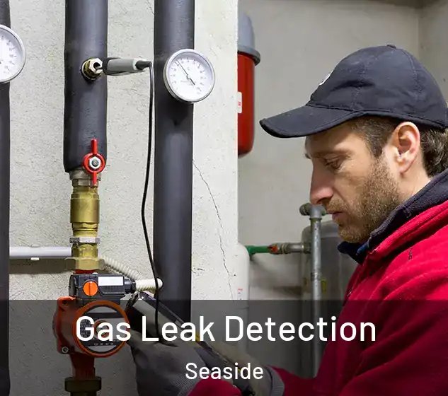 Gas Leak Detection Seaside