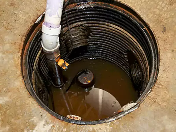 Why Seaside Plumbing Pro is the First Choice for Sump Pump Maintenance Services in Seaside, CA?
