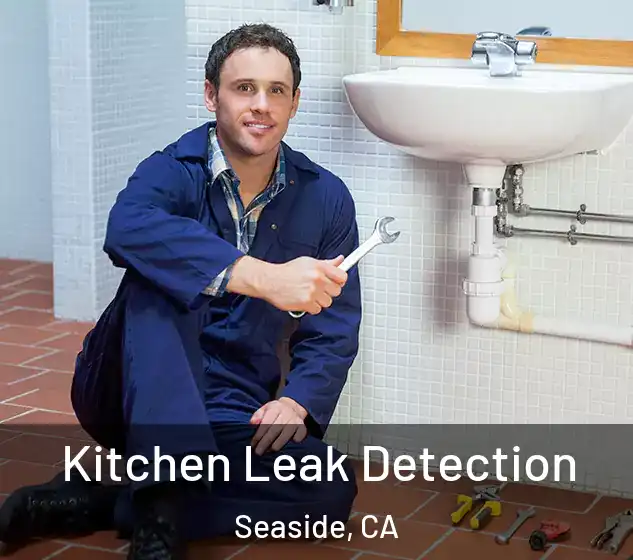  Kitchen Leak Detection Seaside, CA