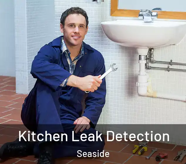  Kitchen Leak Detection Seaside