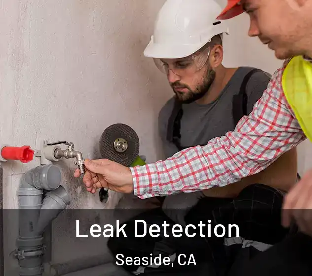  Leak Detection Seaside, CA