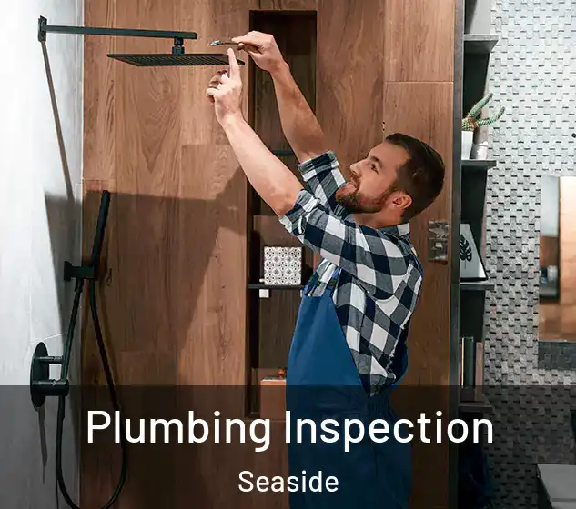  Plumbing Inspection Seaside