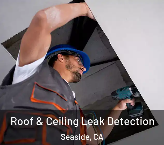 Roof & Ceiling Leak Detection Seaside, CA