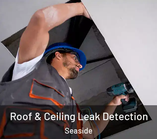  Roof & Ceiling Leak Detection Seaside
