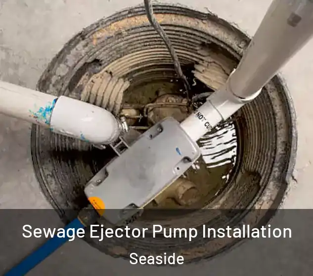  Sewage Ejector Pump Installation Seaside