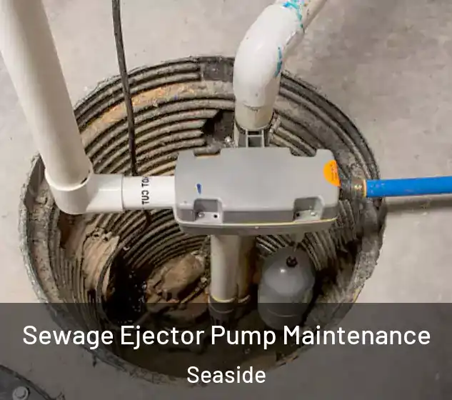  Sewage Ejector Pump Maintenance Seaside