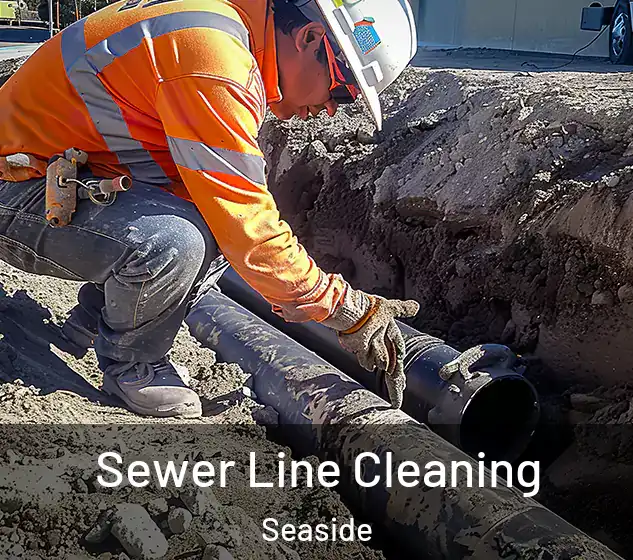  Sewer Line Cleaning Seaside