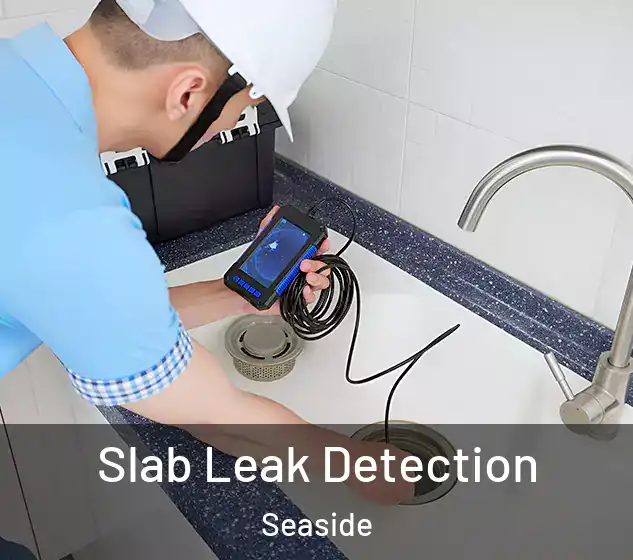  Slab Leak Detection Seaside
