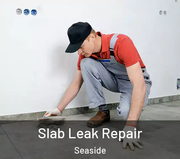  Slab Leak Repair Seaside
