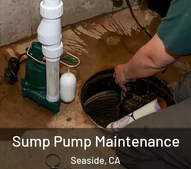  Sump Pump Maintenance Seaside, CA