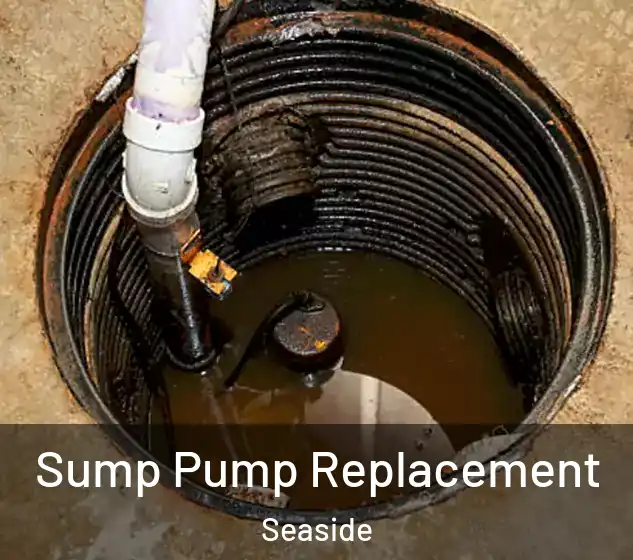  Sump Pump Replacement Seaside