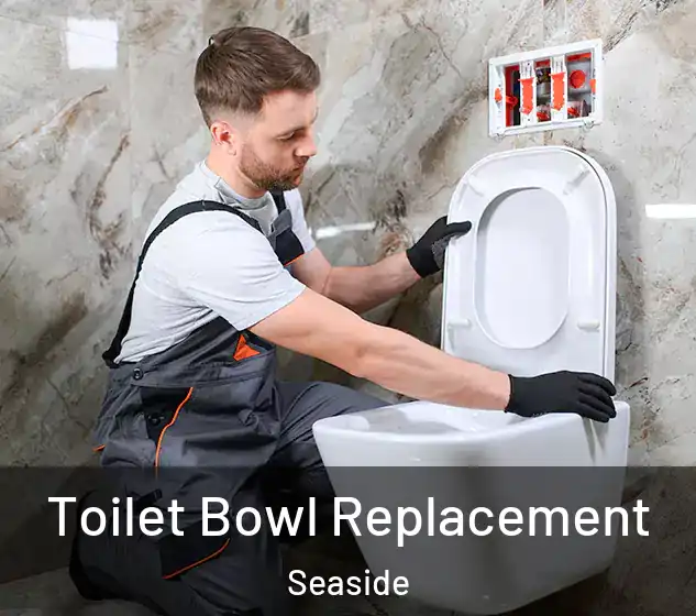  Toilet Bowl Replacement Seaside