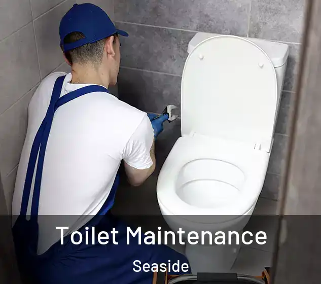  Toilet Maintenance Seaside