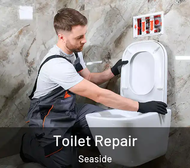  Toilet Repair Seaside