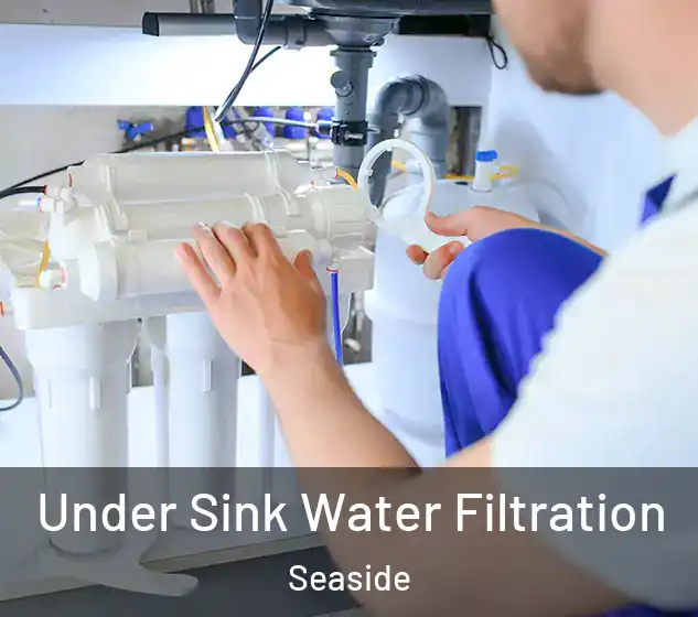  Under Sink Water Filtration Seaside