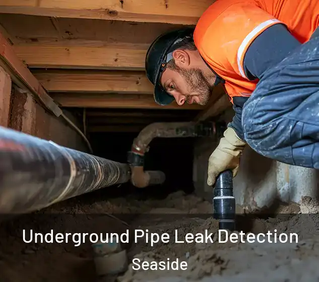  Underground Pipe Leak Detection Seaside