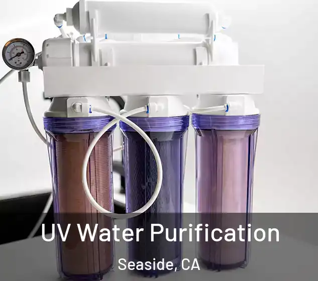  UV Water Purification Seaside, CA