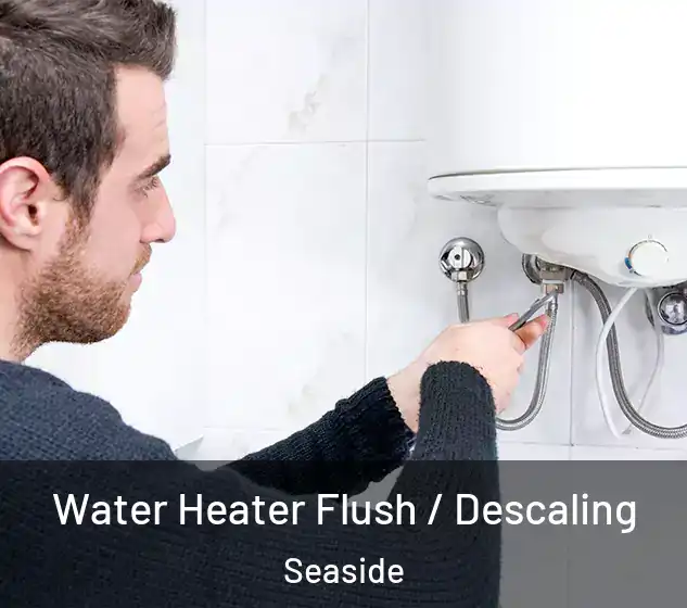  Water Heater Flush / Descaling Seaside