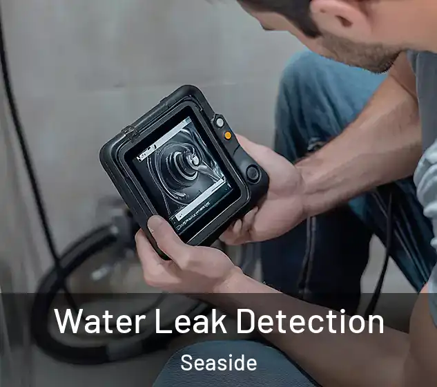  Water Leak Detection Seaside