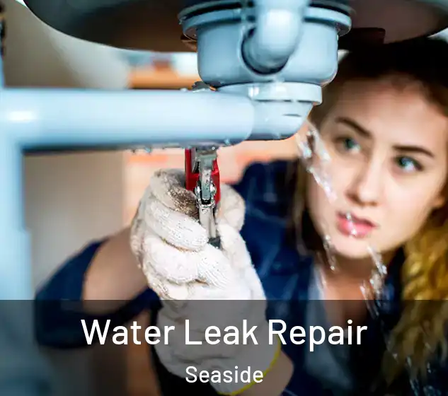  Water Leak Repair Seaside