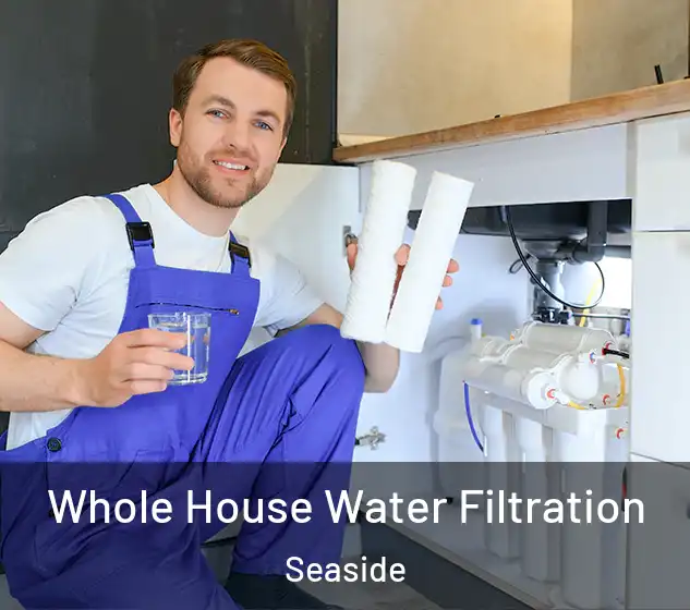  Whole House Water Filtration Seaside